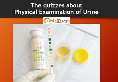 The quizzes about Physical Examination of Urine (26 